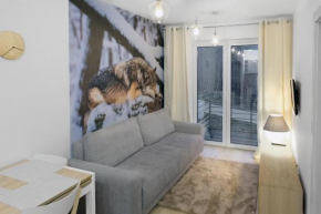 Apartament Szary Wilk, Swieradów-Zdrój